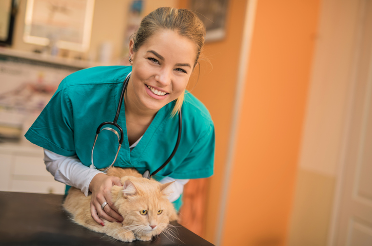 medicina veterinária