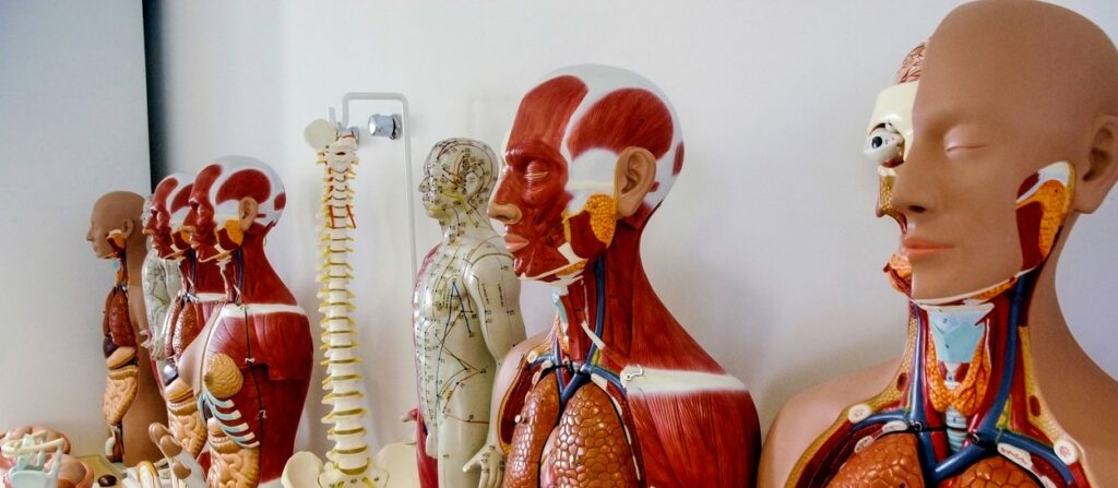 faculdade de medicina