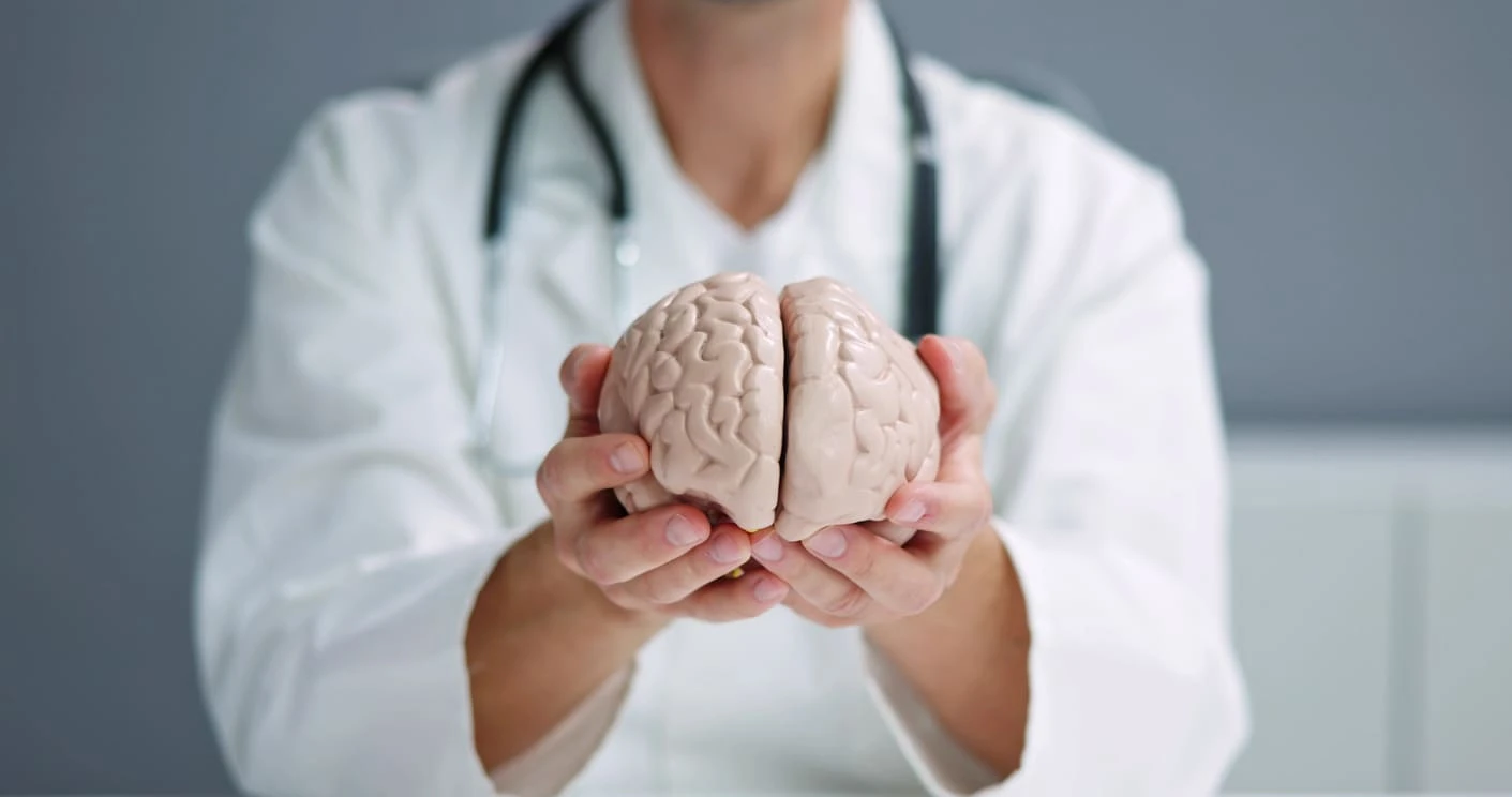 Profissional de saúde segurando um cérebro humano, destacando a importância do cérebro na saúde e na medicina.