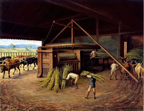 ciclo da cana de acucar